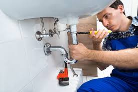 Best Pipe Inspections and Diagnostics  in Trinity, AL